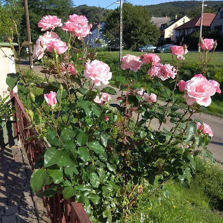 Penzion Buekk Vendeghaz Noszvaj